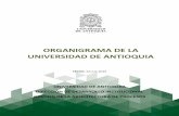 ORGANIGRAMA DE LA UNIVERSIDAD DE ANTIOQUIA