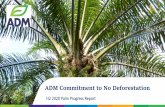 ADM Commitment to No Deforestation
