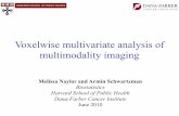 Voxelwise multivariate analysis of multimodality imaging