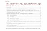 ESC Guidance for the Diagnosis and Management of CV ...
