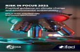 RISK IN FOCUS 2021 - IFACI
