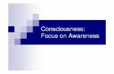 Consciousness: Focus on Awareness