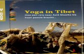 Tarayogini: coaching, stress formatting en yoga