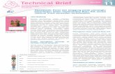Edisi Technical Brief Nov 2016 11