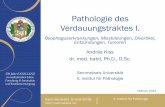 Pathologie des Verdauungstraktes I.