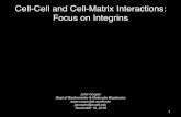 Cell-Cell and Cell-Matrix Interactions: Focus on Integrins