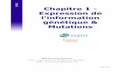 Chapitre 1 - Expression de l'information génétique & Mutations