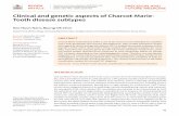 Clinical and genetic aspects of Charcot-Marie- Tooth