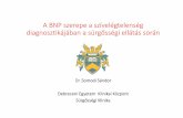 A BNP szerepe a szívelégtelenség diagnosztikájában a ...