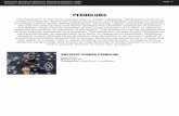 Pendulums Catalog PDF - Dowsing | Dowsers | ASD