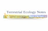 Terrestrial Ecology Notes