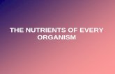 THE NUTRIENTS OF EVERY ORGANISM