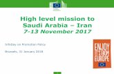 High level mission to Saudi Arabia Iran