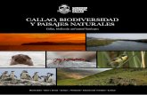 Libro-Callao Biodiversidad y Paisajes Naturales