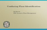 Ed Harris FWC Invasive Plant Management