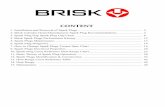 Brisk Performance Ignition Systems Manual
