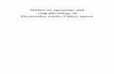 Studies on agronomy and crop physiology of Plectranthus ...