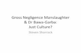 Gross Negligence Manslaughter & Dr Bawa-Garba: Just Culture?