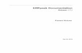 ERPpeek Documentation