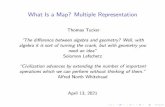 What Is a Map? Multiple Representation
