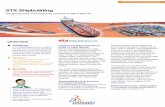 STX Shipbuilding Flyer - Dassault Systèmes®