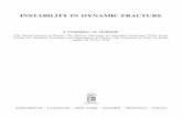 INSTABILITY IN DYNAMIC FRACTURE - University of Texas at ...
