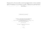 Aspects of somatic embryogenesis and seed germination of ...
