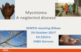 Mycetoma A neglected disease