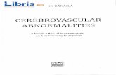 Cerebrovascular abnormalities - Leon Danaila