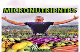 Micronutrientes Page 2 - Veg Estrito