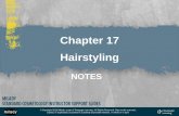 Chapter 17 Hairstyling - WPMU DEV