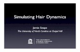Simulating Hair Dynamics - Computer Science