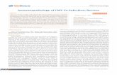 Immunopathology of CMV Co-Infection: Review