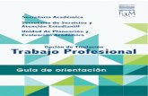 Trabajo Profesional - UNAM