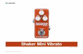 Shaker Mini Vibrato