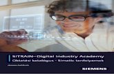 SITRAIN–Digital Industry Academy