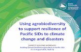Using agrobiodiversity to support resilience of Pacific ...