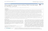 Oncogenic long noncoding RNA landscape in breast cancer