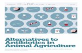 Alternatives to Antibiotics in Animal Agriculture
