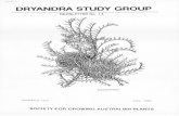 DRYANDRA STUDY GROUP - ANPSA