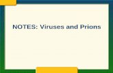 NOTES: Viruses and Prions - Mrs. Ody's Biology Blog