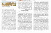 SAlmAN - TDV İslam Ansiklopedisi