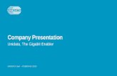 Company Presentation - Unidata