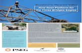 New Nest Platform for the Three Bridges Eagles