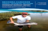 SECOORA CARICOOS Report final