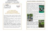 ASD Anemos Itinerari del Vento Corsi di ciclismo e ...