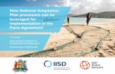 How National Adaptation Plan processes can be leveraged ...