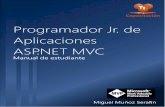Programador Jr. de aplicaciones ASP.NET MVC