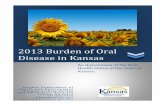 2013 Burden of Oral Disease in Kansas