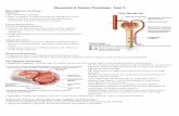Glomerular & Tubular Physiology (Print) copy